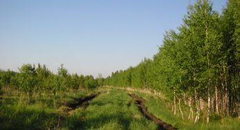 Алтайский край подарит Сочи воздух, чтобы потом его продавать