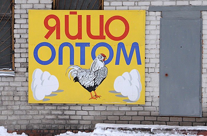 В Алтайском крае упали цены на куриные яйца
