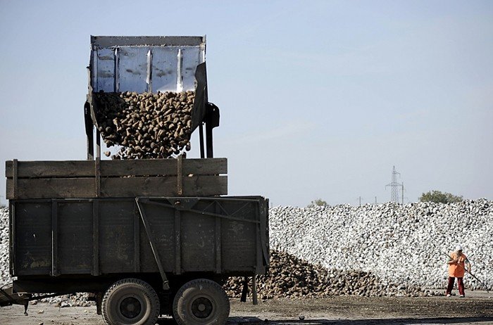 Руководство «Черемновского сахарного завода» отвергло обвинения в притеснении поставщиков