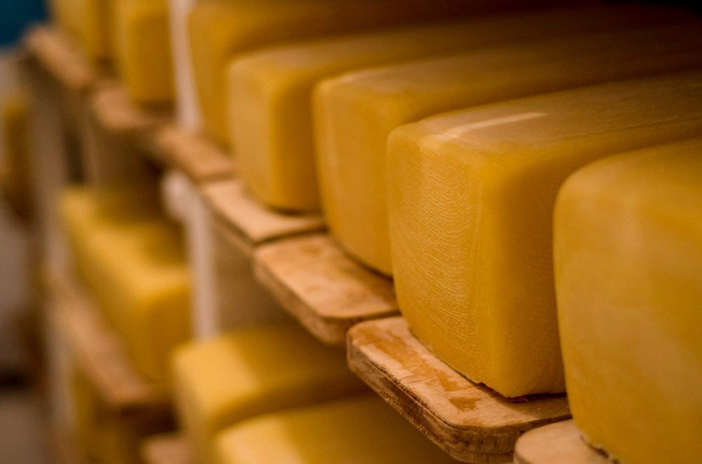 Производство сыра в Алтайском крае выросло на 20%