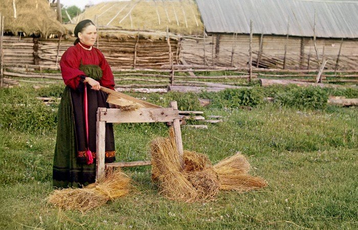 Алтайские производители льна получат господдержку