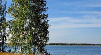 На озере Солёном в Баевском районе появится грязелечебный курорт