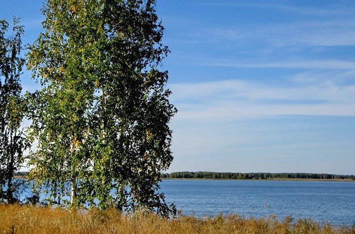 На озере Солёном в Баевском районе появится грязелечебный курорт