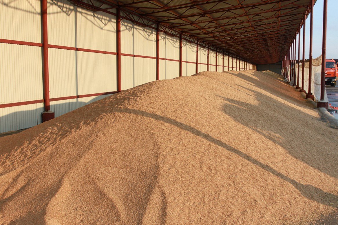 «Пава» увеличила чистую прибыль от продажи зерна на 20%