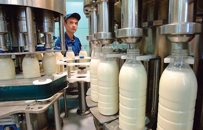 Идея создания молочного кластера не получила поддержки у алтайских переработчиков
