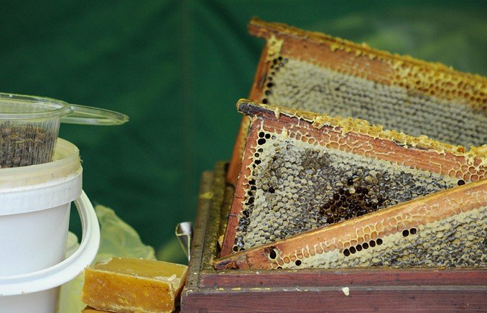 Бизнесмены из Франш-Конте хотят организовать поставки алтайского мёда во Францию