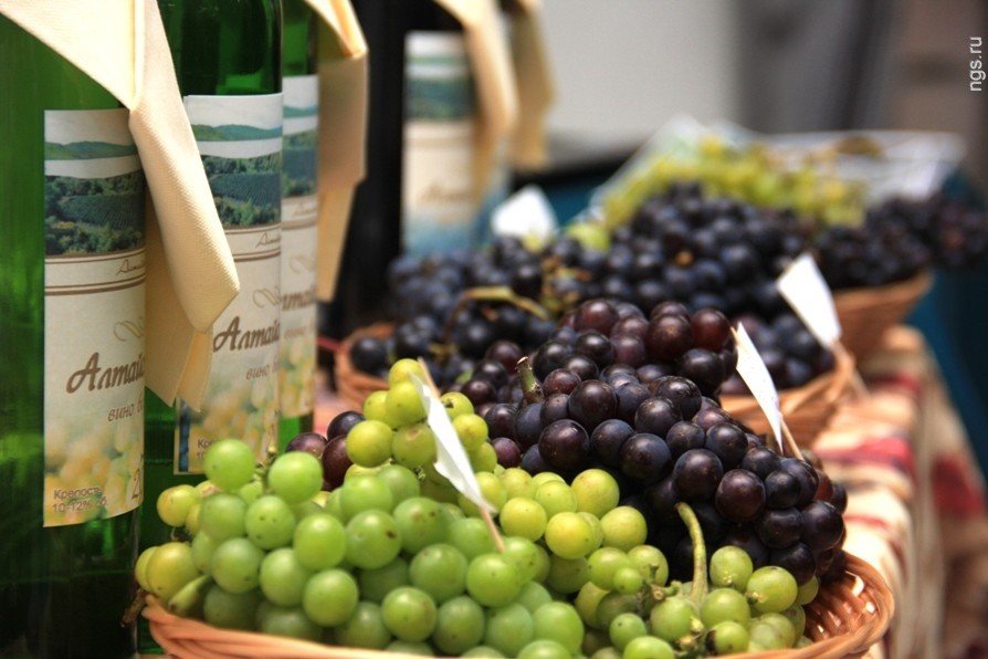 Французы предложили развивать на Алтае винный туризм