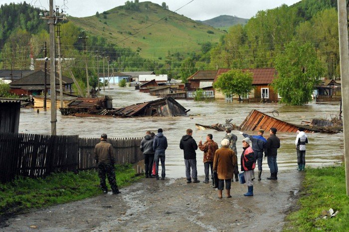 Ущерб сельскому хозяйству от наводнения в Алтайском крае составил 35 млн рублей