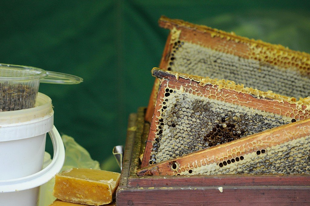 Алтайский край экспортировал 26 тонн мёда в США и Евросоюз