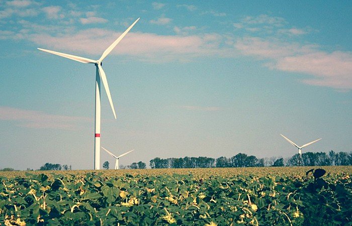 В Славгороде собираются построить ветроэлектростанцию