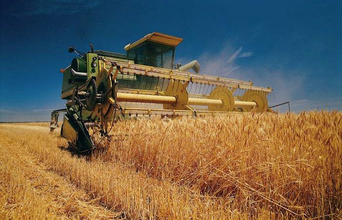Алтайские аграрии собрали первый миллион тонн зерна в 2014 году