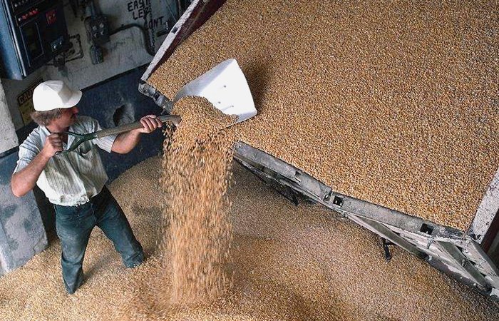 ФАС обвинила «Каменский элеватор» в завышении цен на отгрузку зерна