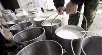 ФАС раскрыла «молочный сговор» в Алейском районе