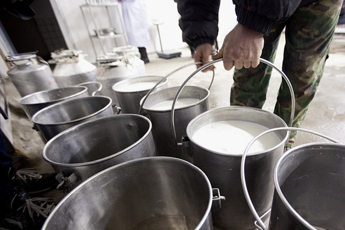 В поисках «молочного сговора» алтайские антимонопольщики добрались до Угловского района