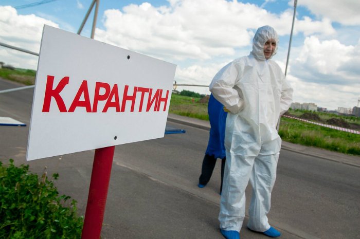 В Новичихинском районе до середины октября ввели карантин из-за «птичьего гриппа»