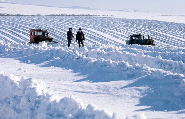 Из-за аномальной погоды в Алтайском крае до сих пор не убран урожай с 600 тыс. га полей