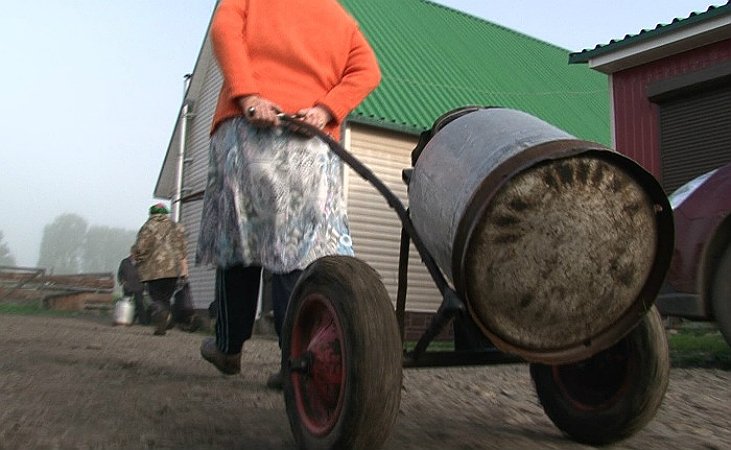 Минсельхоз хочет потратить 500 млн рублей на создание пунктов приёма молока