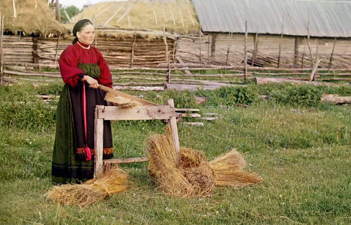 Алтайские производители льна получат господдержку для покупки новой техники