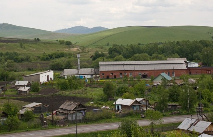 «Алтайский винзавод» выставят на продажу за долги