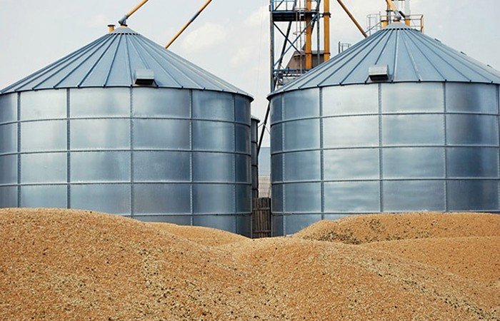 Алтайские предприятия будут вынуждены закупить до 900 тыс. тонн зерна в других регионах из-за неурожая 2014 года