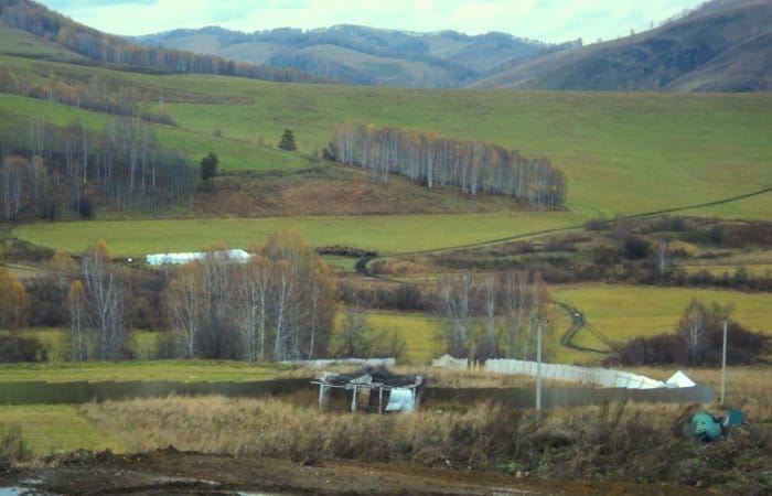 DSC02320