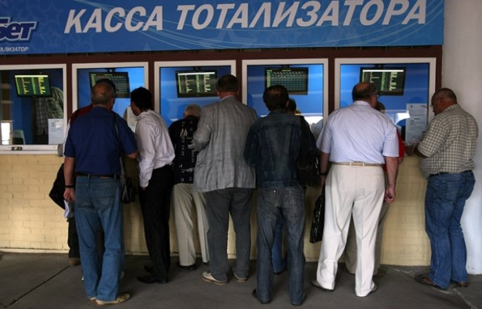 «Российские ипподромы» получили лицензию на организацию тотализатора в Барнауле