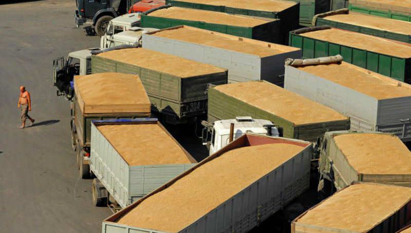 Размер пошлины на экспорт зерна составит не менее 35 евро за одну тонну