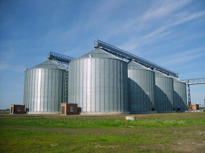 «КДВ Групп» в 2015 году построит в Алтайском крае элеватор для хранения семечек