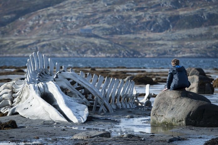 leviathan (1)