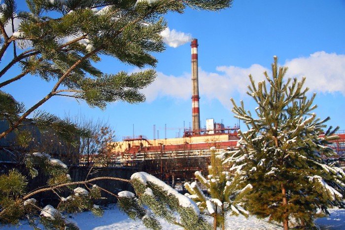 «Алтай-Кокс» потратил около 100 млн рублей на природоохранные мероприятия в 2014 году