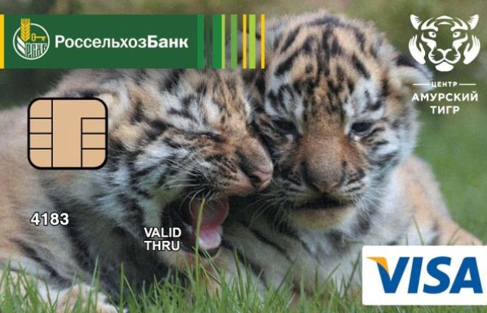 Россельхозбанк выпустил кредитную карту в поддержку амурских тигров