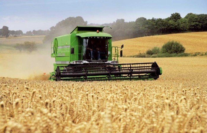 Правительство выделило алтайским аграриям субсидии в 47 миллионов рублей