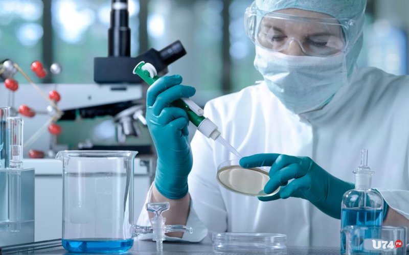 Алтайский ученый разрабатывает препарат против Эболы
