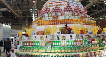 Алтайский край представил пирамиду из продуктов на выставке в Москве