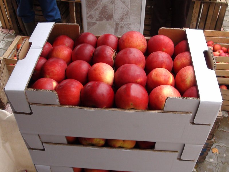 Оптовики попытались ввезти в Барнаул «санкционные» польские яблоки через Казахстан