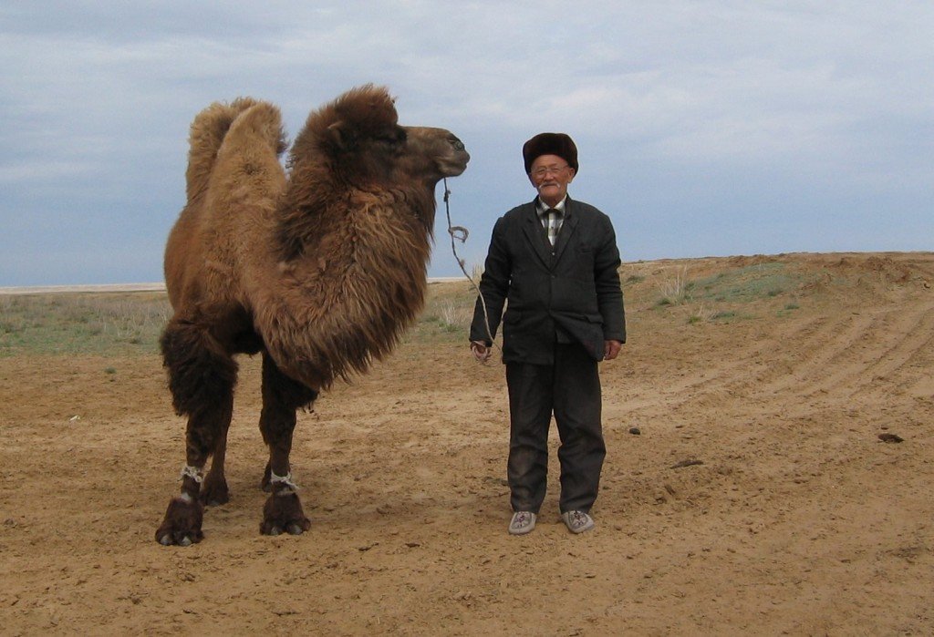 Казахстан хочет создать совместный с Алтайским краем туристический маршрут