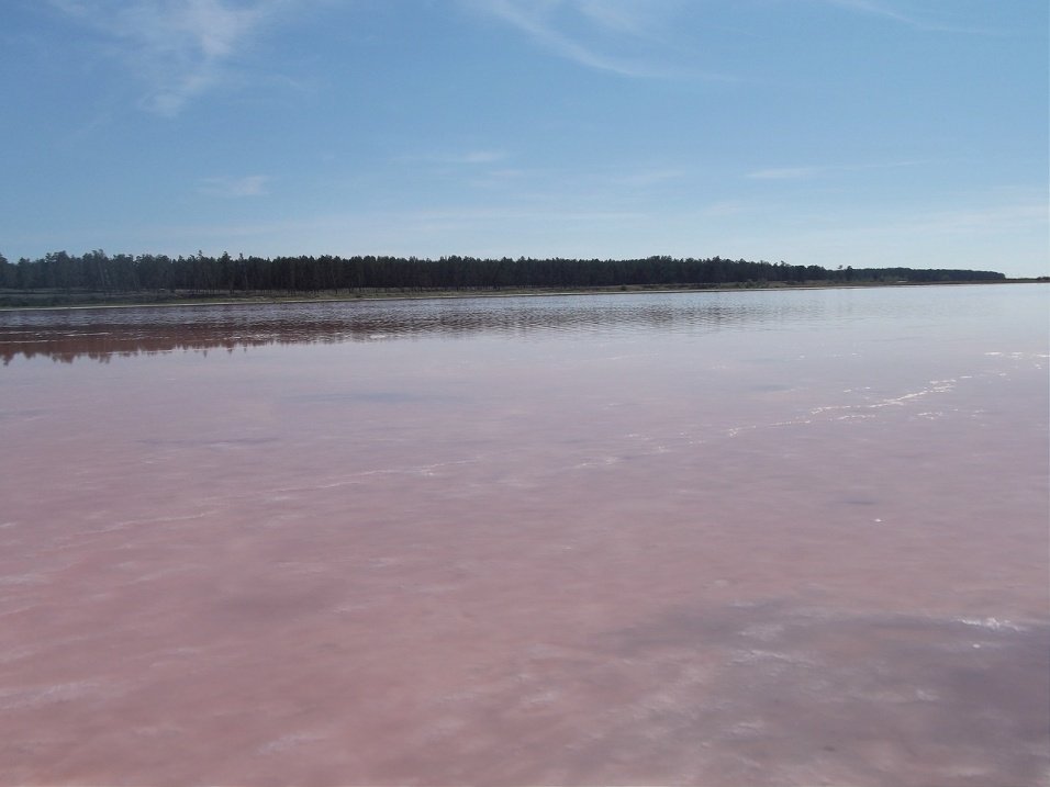 Славгородские чиновники незаконно сдали государственное озеро предпринимателю в аренду