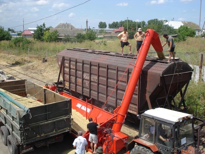 Железнодорожников попросят снизить тарифы на перевозку алтайской муки