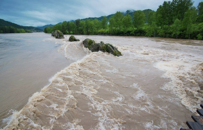 Идёт вторая волна паводка: в реках Алтая резко растёт уровень воды