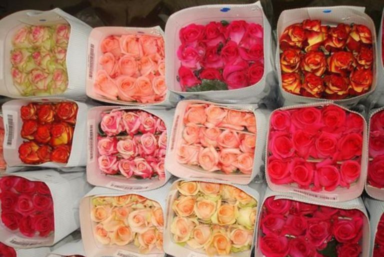 Барнаульские продавцы цветов надеются, что «голландию» не запретят