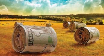 Край получит субсидии на переработку сельхозпродукции