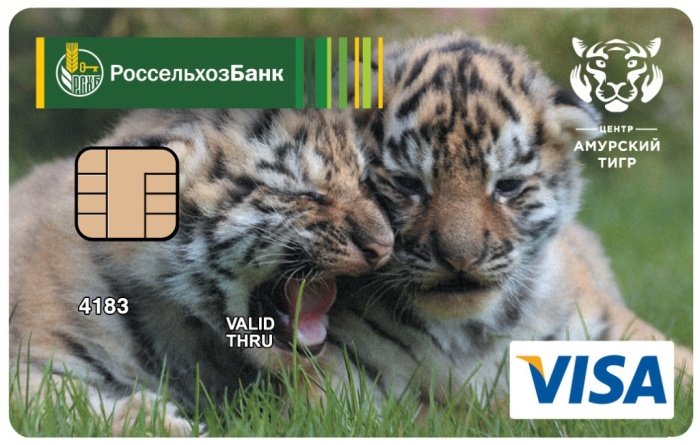 Россельхозбанк запускает программу лояльности для держателей платежных карт «Амурский тигр»