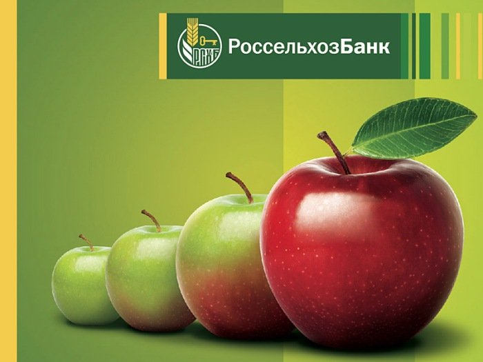 440 млрд рублей направил Россельхозбанк на поддержку представителей малого агробизнеса