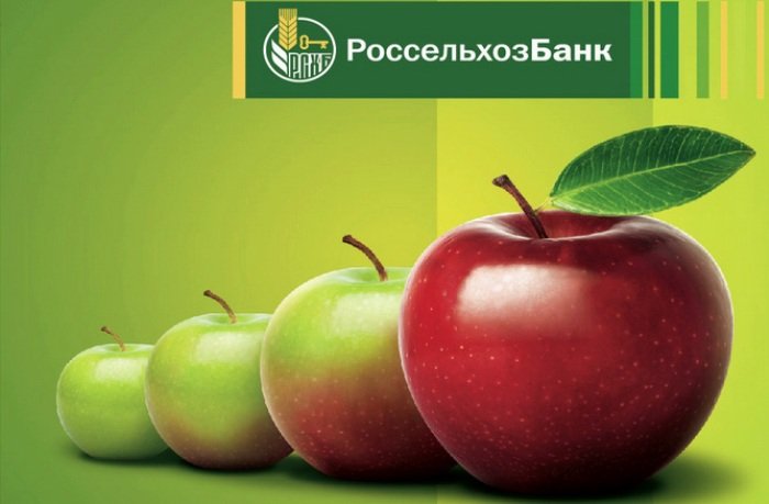 Россельхозбанк выдал пенсионерам Алтайского края более 5,6 тысяч кредитов