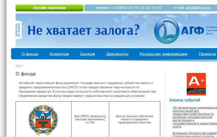 Алтайский гарантийный фонд получил высокую оценку экспертов