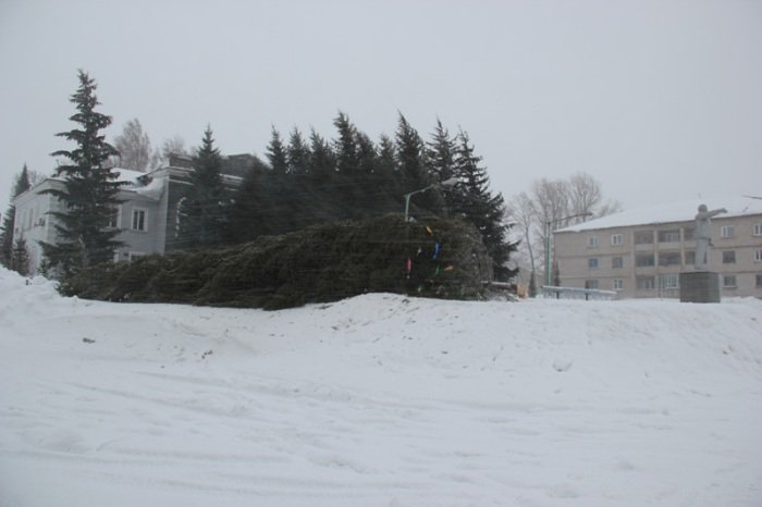В Змеиногорске ураганом снесло елку на главной площади