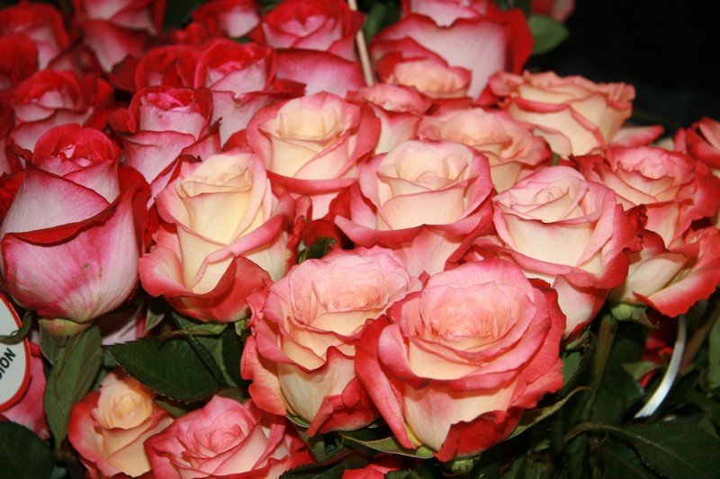 Цветочники ощутили кризис: на День влюбленных упали продажи цветов