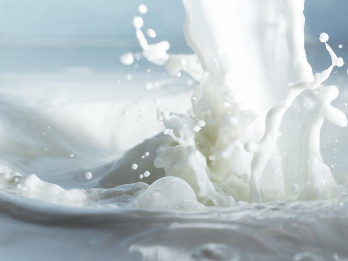 Невеселый молочник: России грозит молочный кризис
