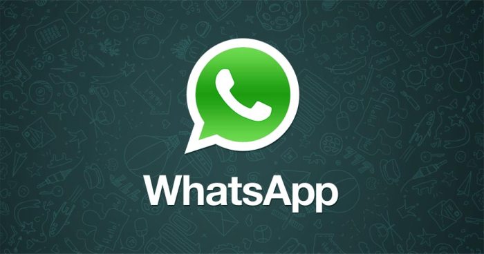 «СК Сибирия» предлагает клиентам связаться через «WhatsApp»