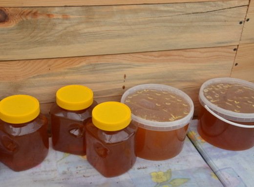 «Пчеловоды Алтая» заключили контракт с фирмой «Michaud  ltd» на поставку меда во Францию